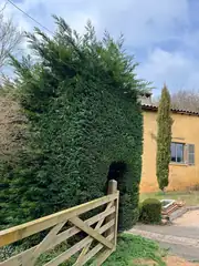 Miniature : haie haute encadrant un portail avant rabattage